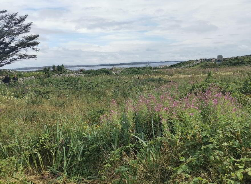 Ardmore, Kilkerrin