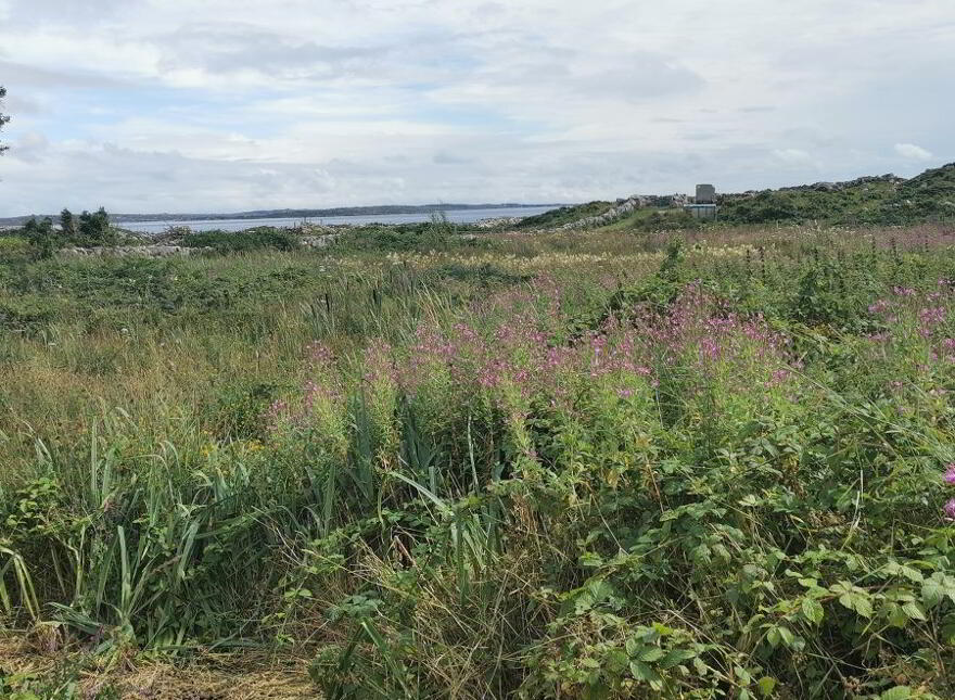 Ardmore, Kilkerrin