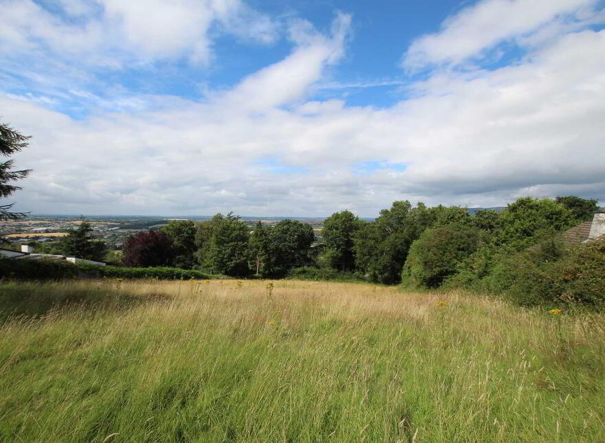 Site At, Poulnagunogue, Clonmel