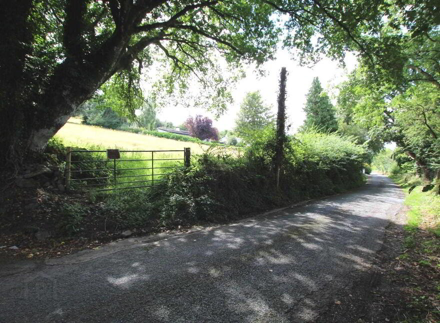 Site At, Poulnagunogue, Clonmel