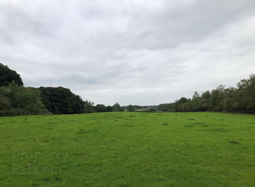 C. 13.26 Acres Of Farm Land At Castlemacgarrett, Claremorris, Mayo photo