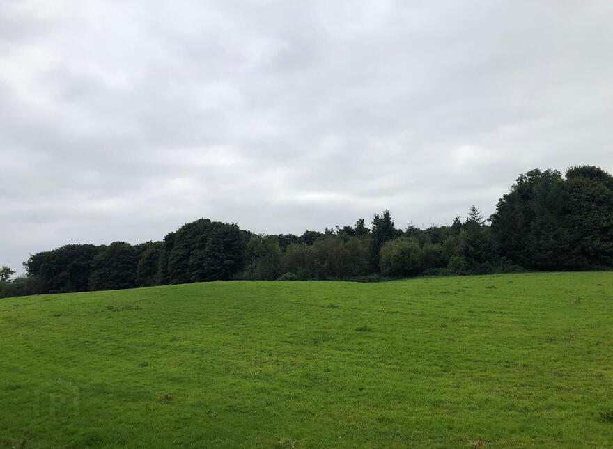 C. 13.26 Acres Of Farm Land At Castlemacgarrett, Claremorris, Mayo