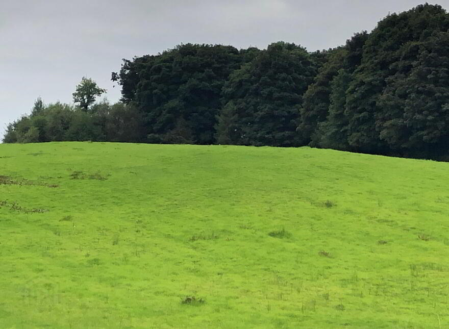 C. 13.26 Acres Of Farm Land At Castlemacgarrett, Claremorris, Mayo