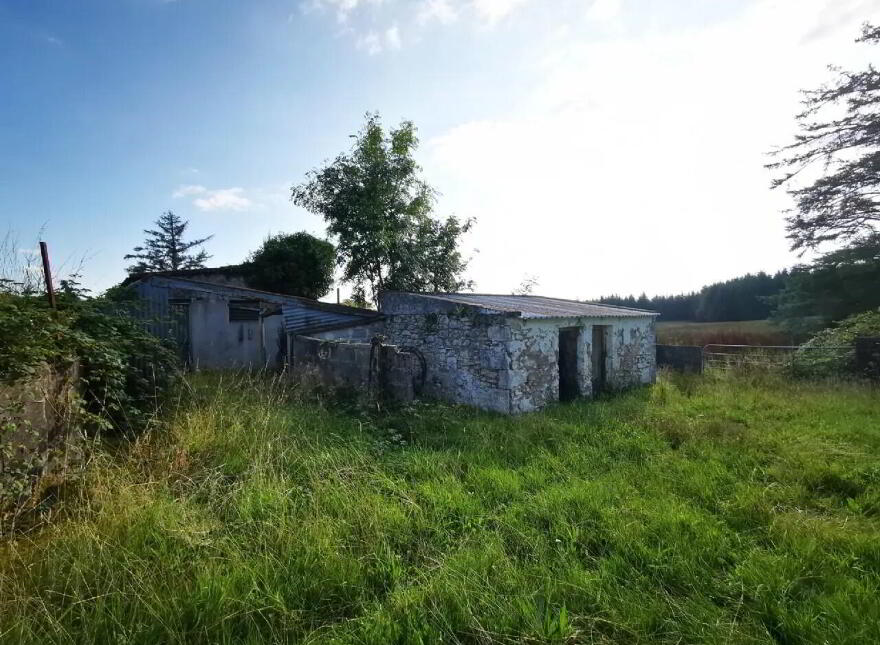 Old Castlebar Road, Swinford
