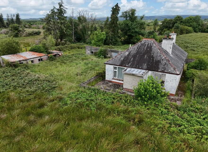 Old Castlebar Road, Swinford