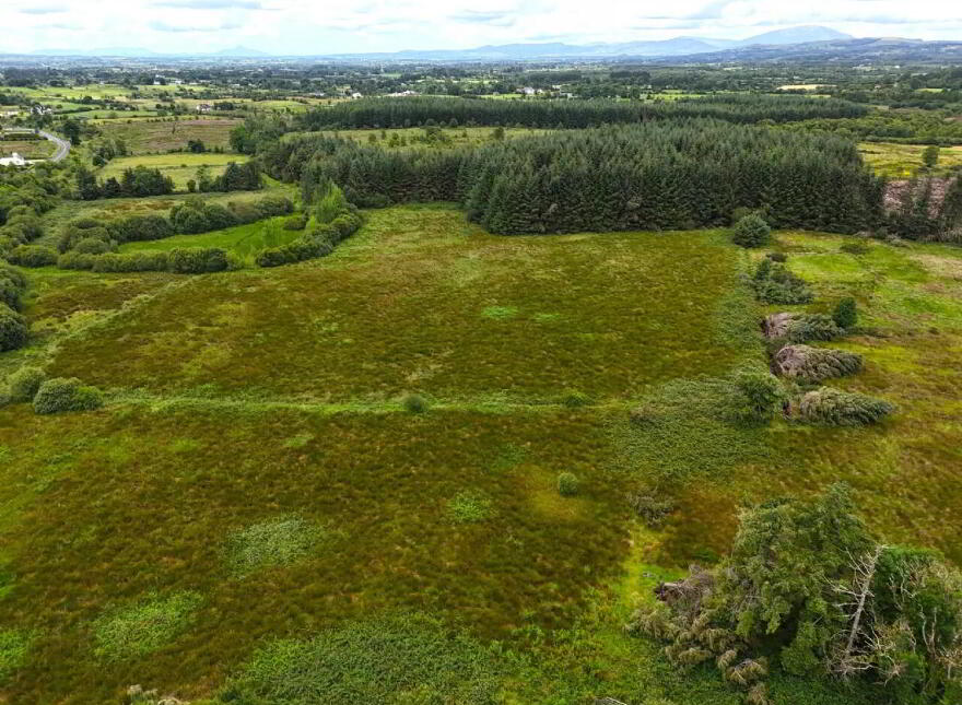 Old Castlebar Road, Swinford