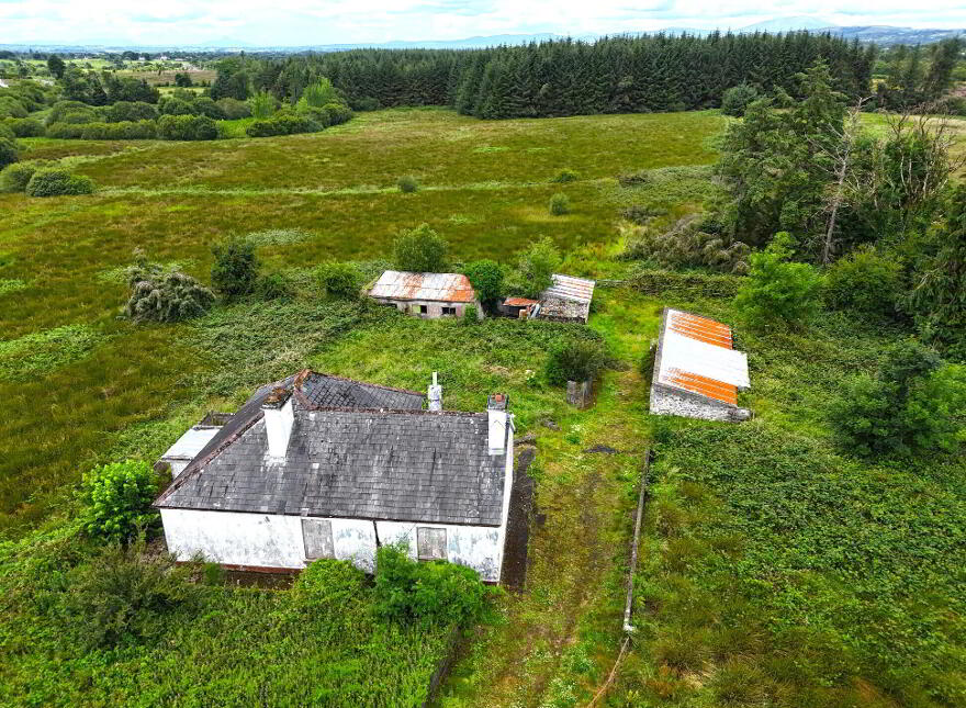 Old Castlebar Road, Swinford