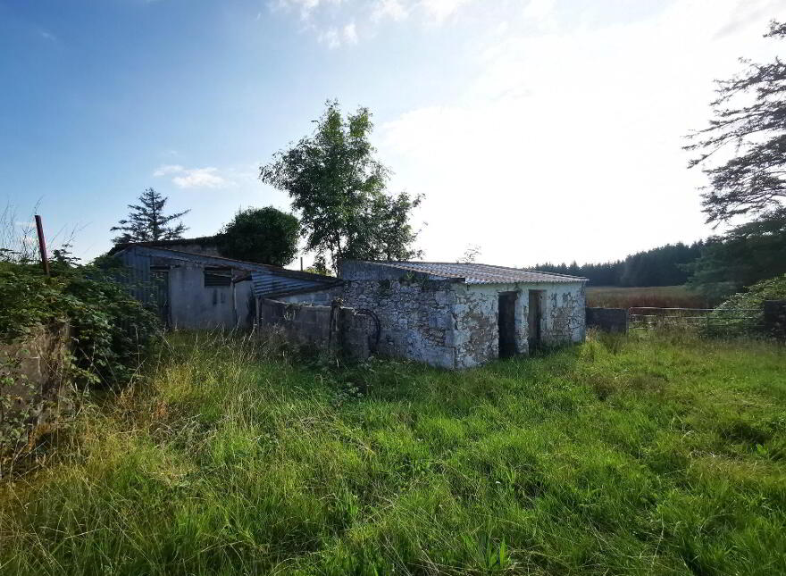 Old Castlebar Road, Swinford