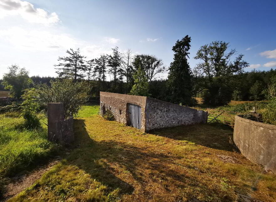 Old Castlebar Road, Swinford