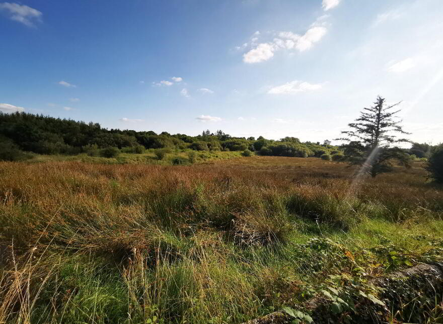 Old Castlebar Road, Swinford