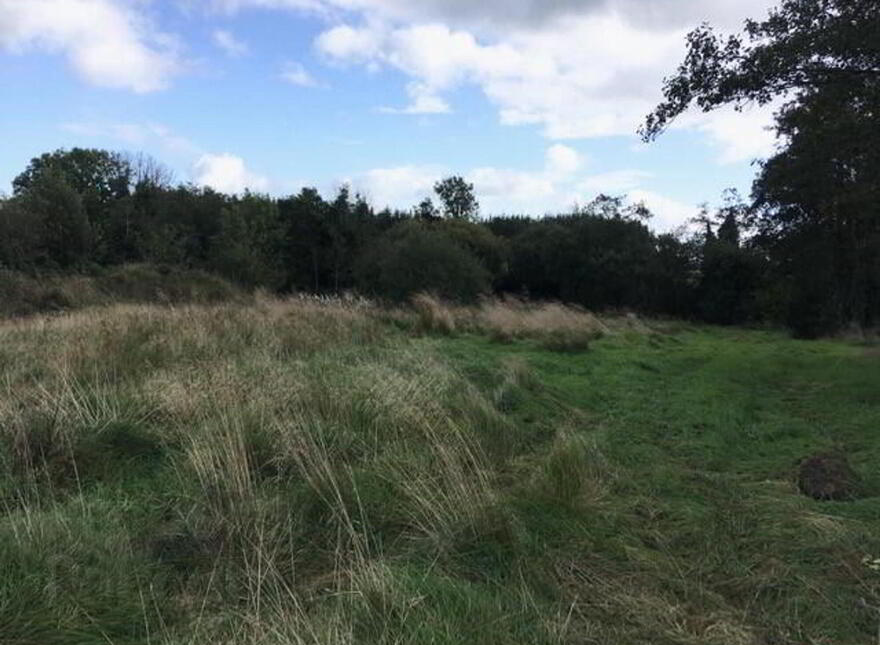 Derrygannon, Roslea, Enniskillen, BT92 7NH