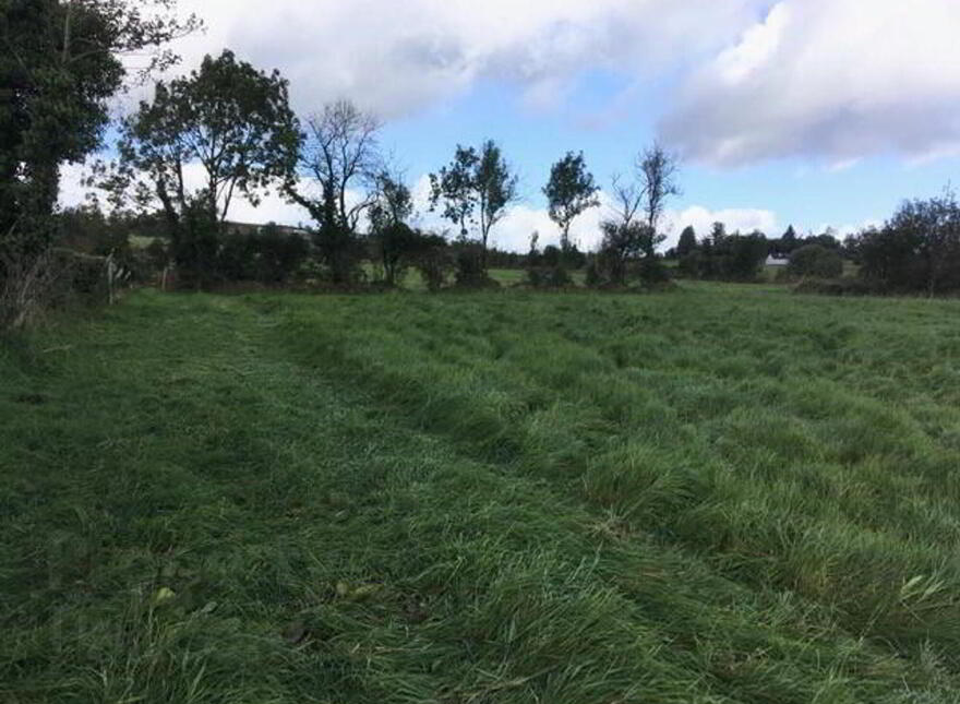 Derrygannon, Roslea, Enniskillen, BT92 7NH