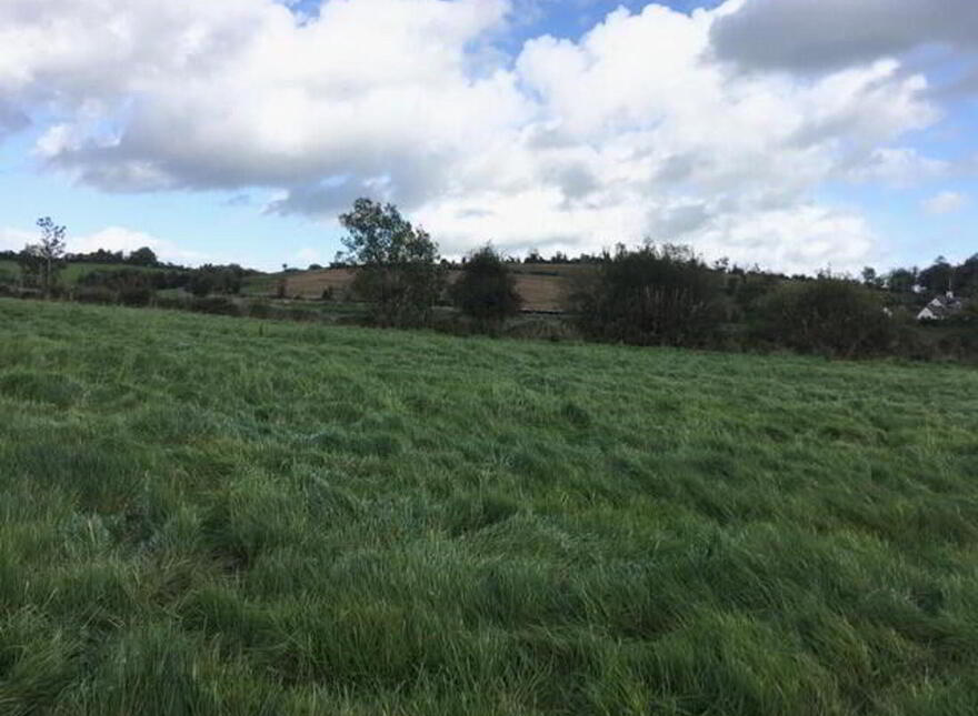 Derrygannon, Roslea, Enniskillen, BT92 7NH