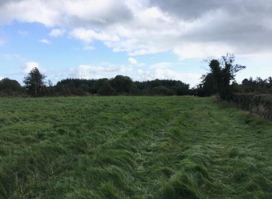 Derrygannon, Roslea, Enniskillen, BT92 7NH