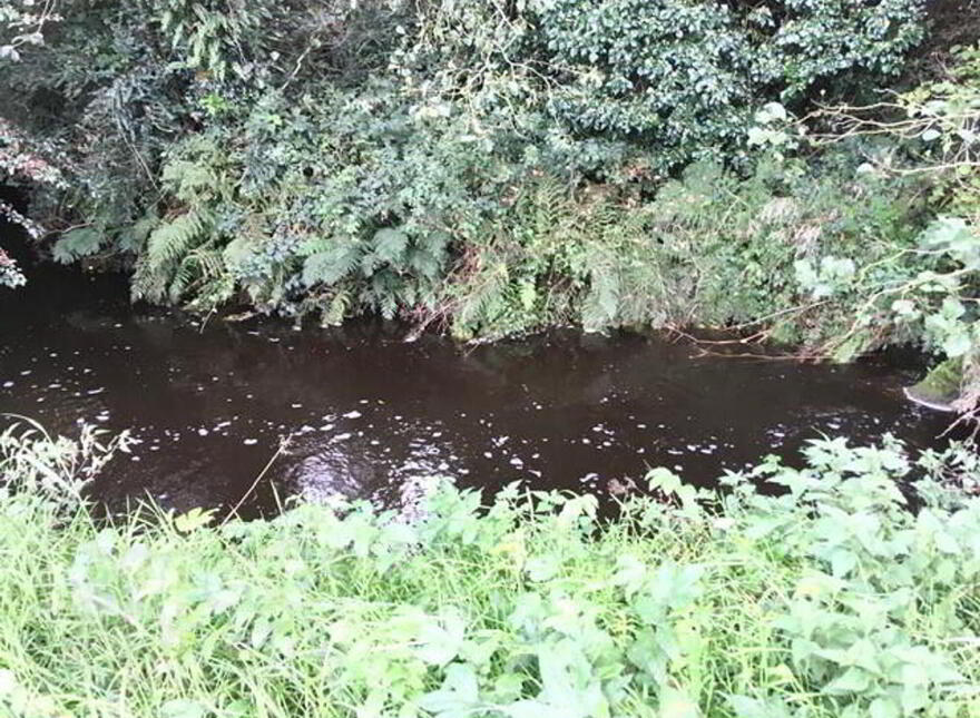 Derrygannon, Roslea, Enniskillen, BT92 7NH