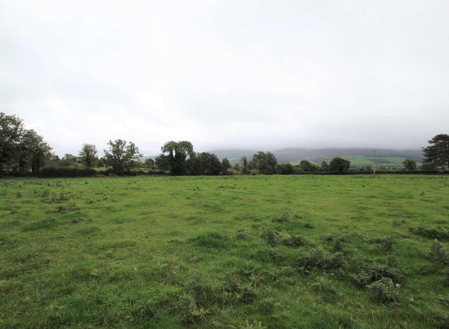 Milestown, Fethard