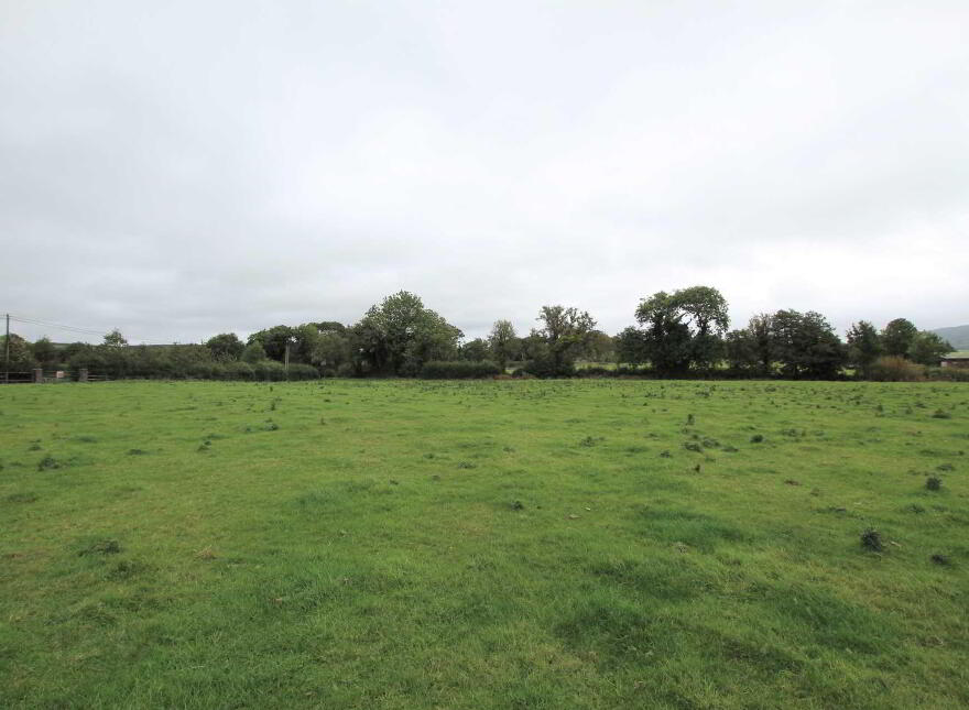 Milestown, Fethard