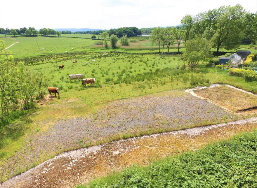 Building Site, At Carrybridge, Mullaghkippin, Lisbellaw, Enniskillen, BT94 5JU