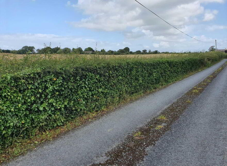 Morenane, Kilcornan, Askeaton