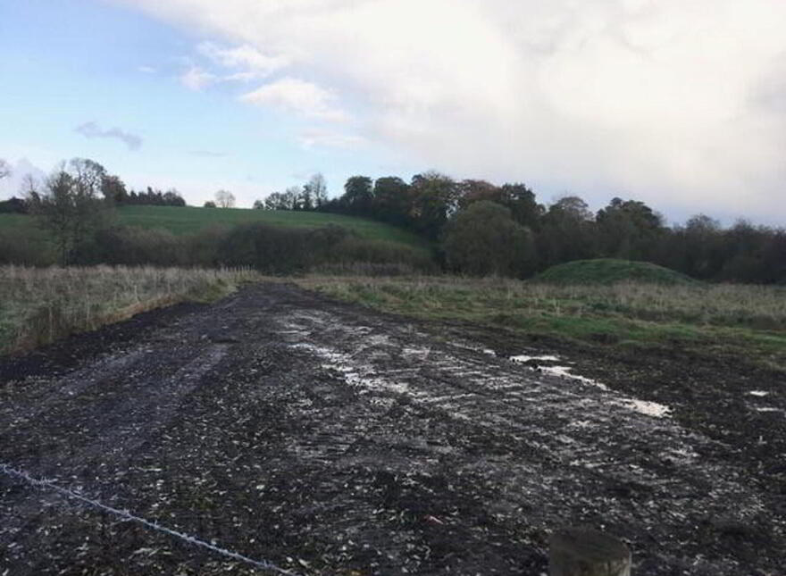 Clonaroo, Newtownbutler, BT92 8NB