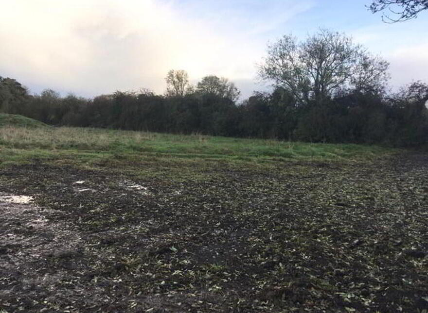 Clonaroo, Newtownbutler, BT92 8NB
