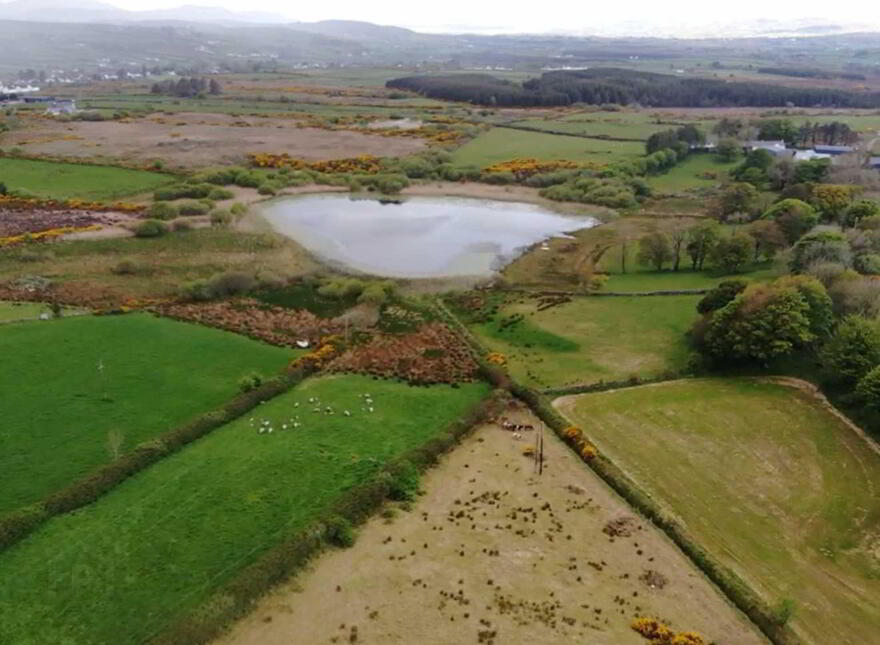 Drumley, Gleneely