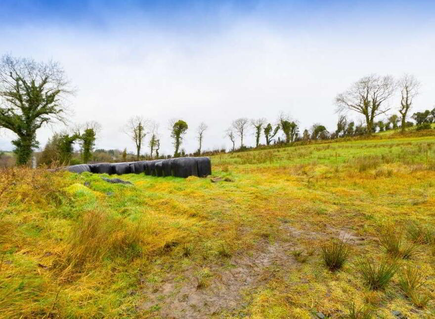 Knockbride, East, Bailieborough