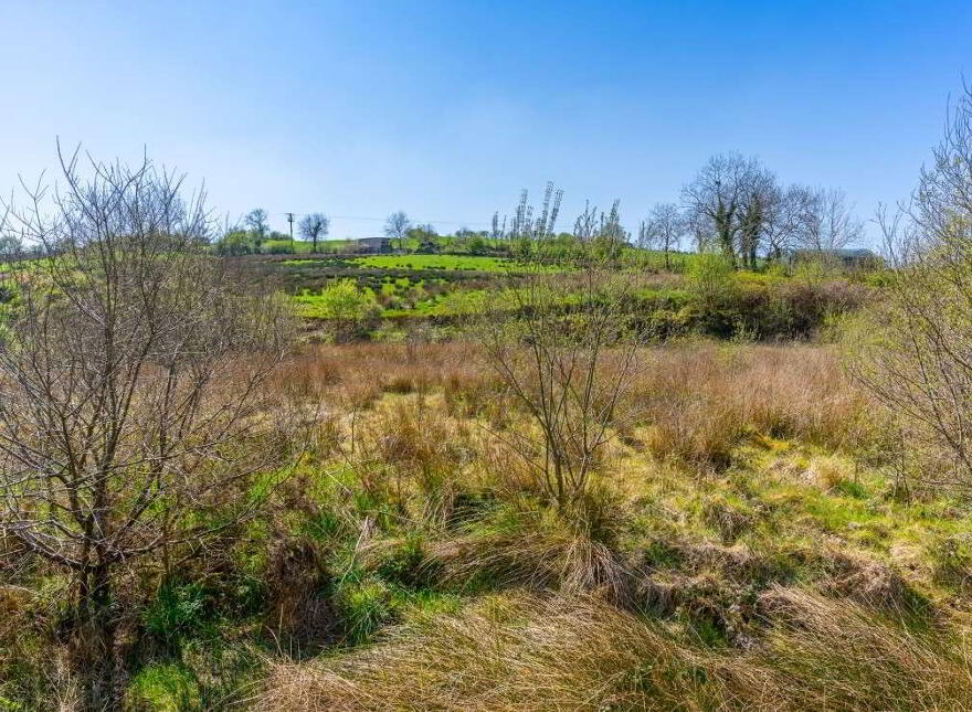 Seeorum, Bailieborough