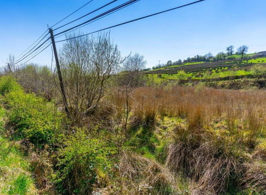 Seeorum, Bailieborough