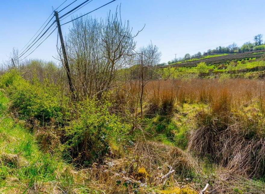 Seeorum, Bailieborough