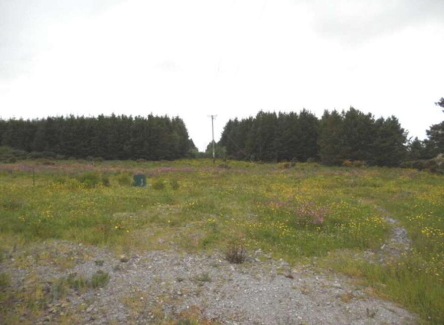 Gurteen, Athenry