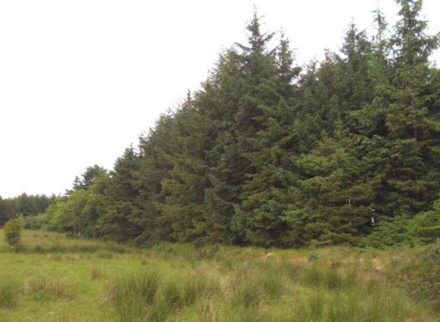 Gurteen, Athenry