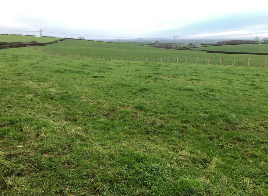 15 Acres Of Agricultural Land, Adjacent To 55 Ringsend Road, Banbridge, BT32 3QQ