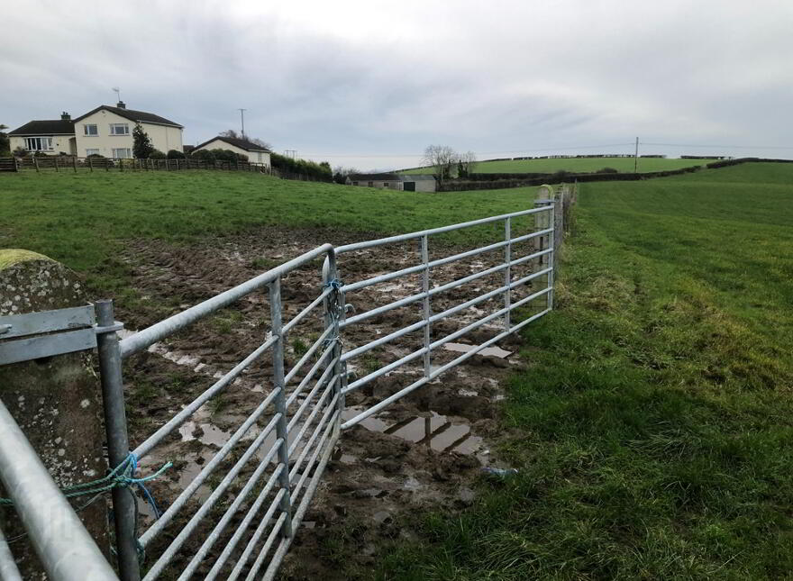 15 Acres Of Agricultural Land, Adjacent To 55 Ringsend Road, Banbridge, BT32 3QQ