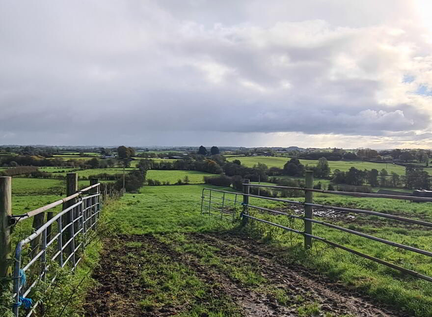 Agricultural Property For Sale in Cookstown Area PropertyPal