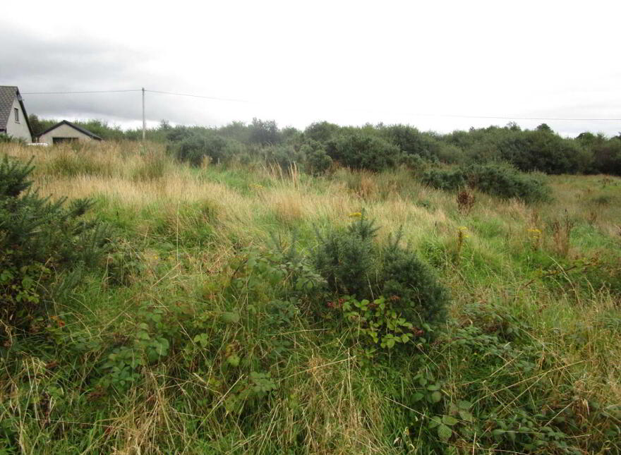 Rooskey, Quigley`s Point