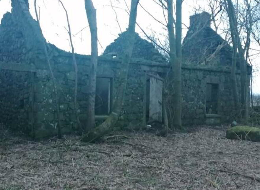 Site Approx 45m NW Of, 74 Pharis Road, Loughgiel, Ballymoney, BT53 8JZ