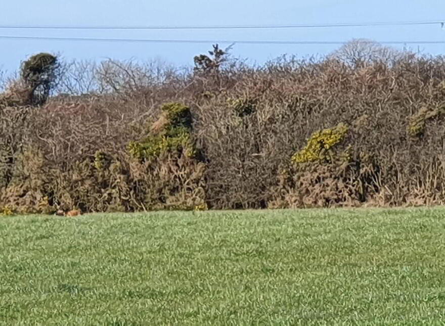 Site Between 49 & 51, Moyarget Road, Ballycastle, BT54 6HL