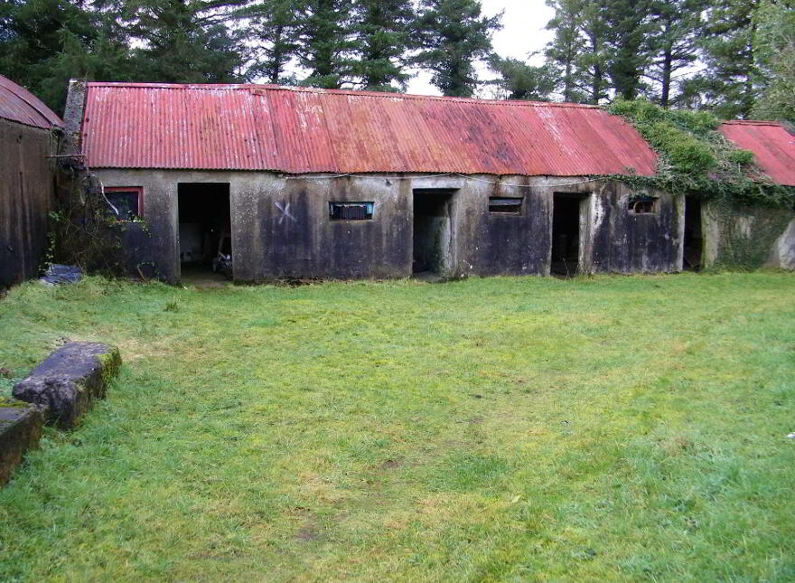 Tully, Castlerea, F45P718