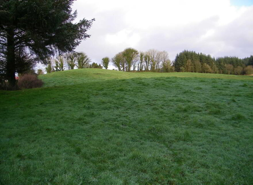 Tully, Castlerea, F45P718
