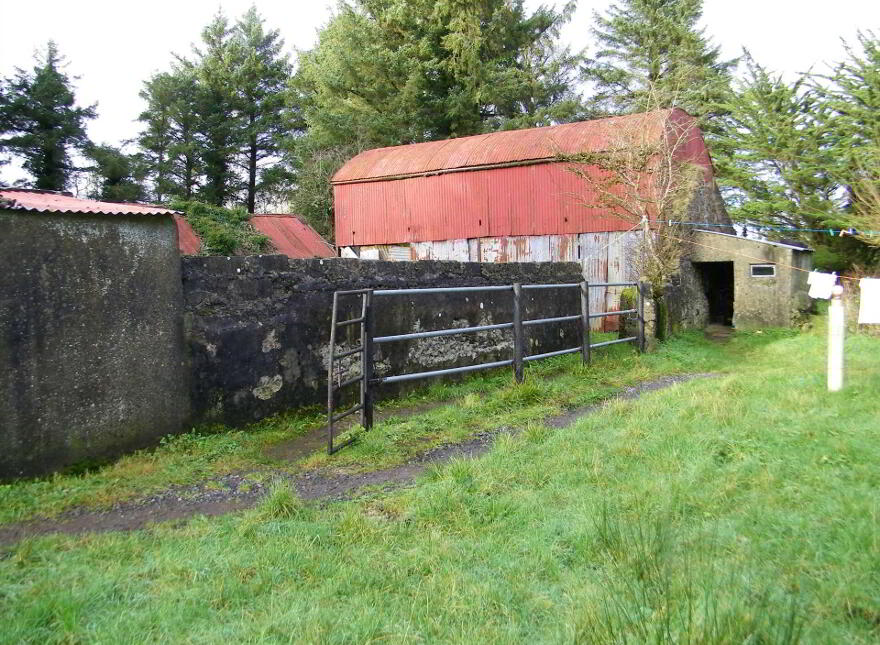 Tully, Castlerea, F45P718