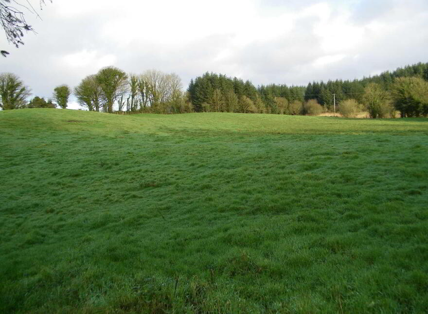 Tully, Castlerea, F45P718