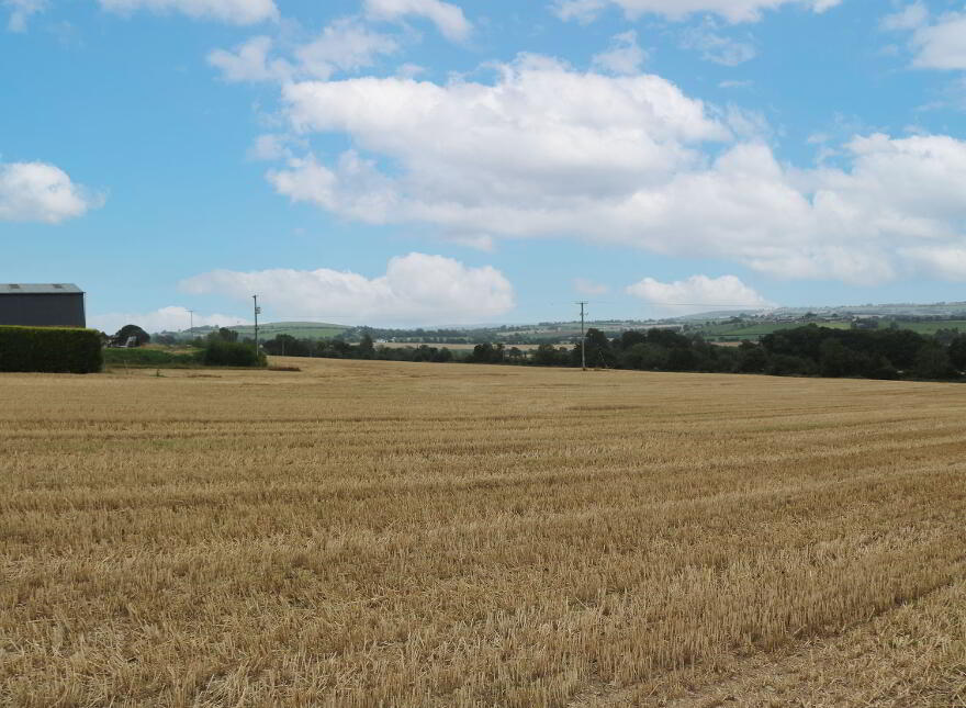 Bellewstown, Drogheda