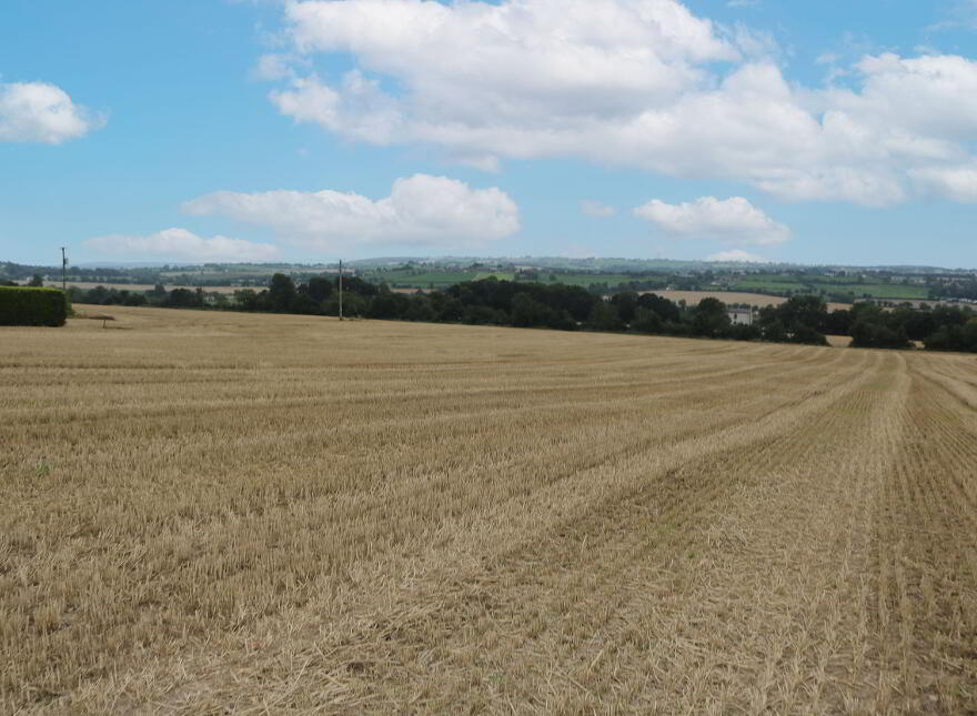 Bellewstown, Drogheda