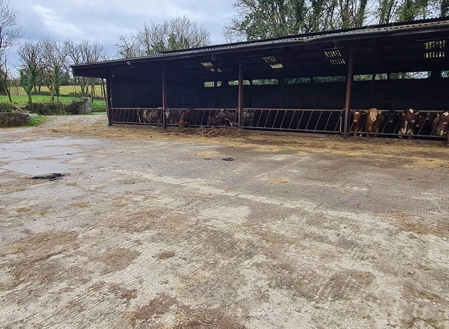 Ballymagirril Garadice Via Ballinamore, Bawnboy, N41NH59