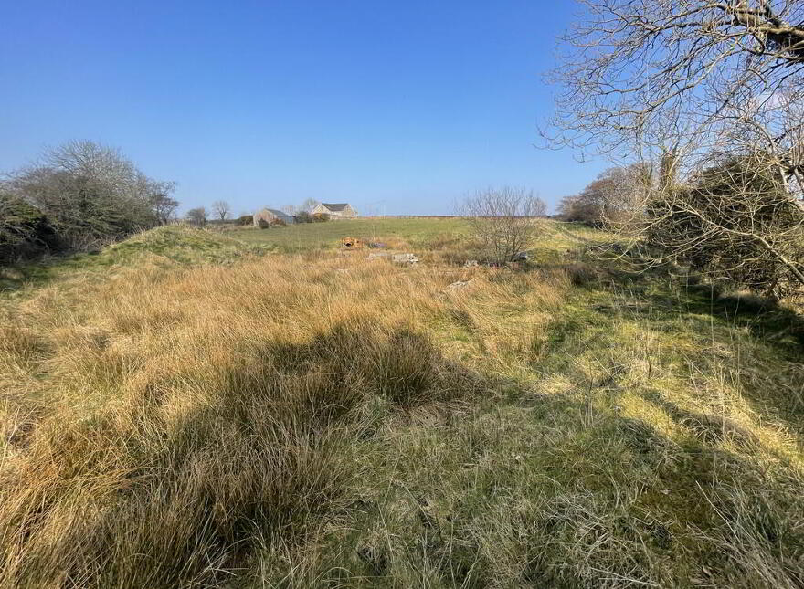 Site Adjacent To, 97 Carnbore Road, Liscolman, Ballymoney, BT53 8EE