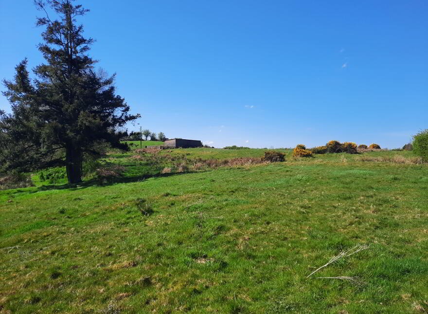 Ballyglass West, Charlestown, Co Mayo photo