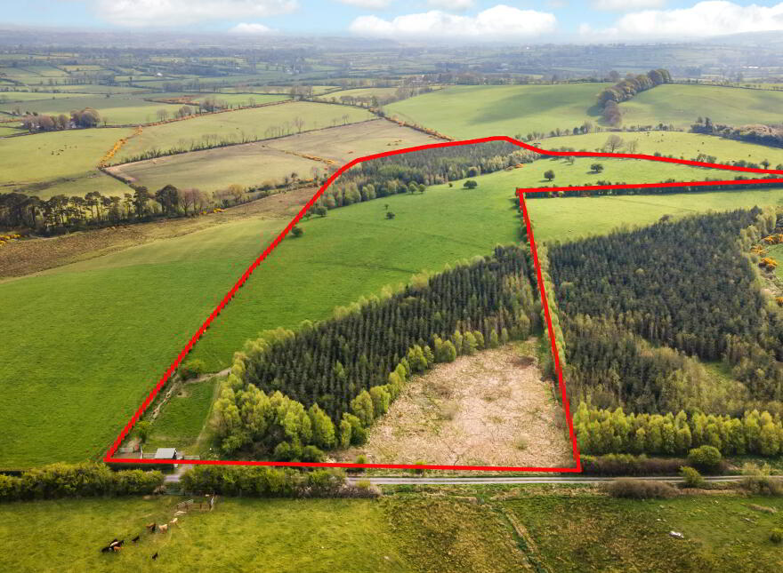 Drumlerry photo