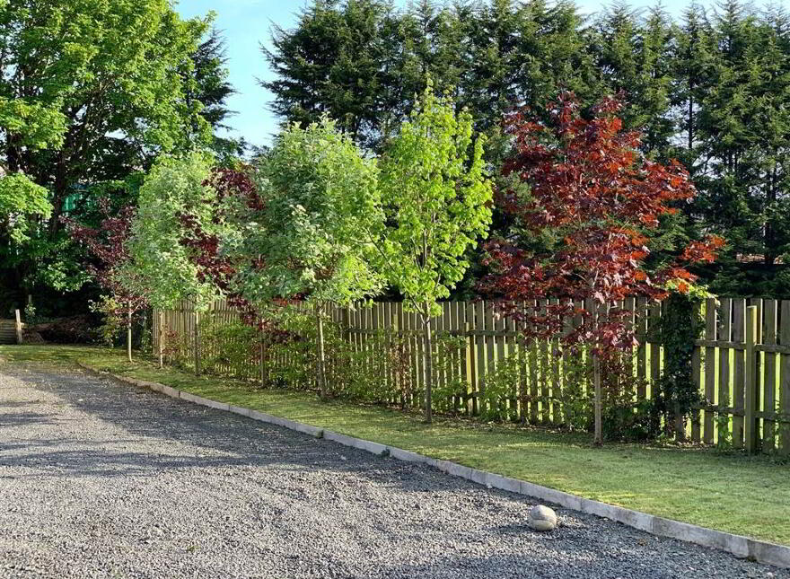 3 Rose Meadows, Lisburn, BT28 2FB