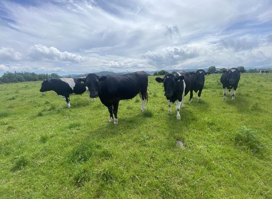 Marlfield, Knocklofty, Clonmel